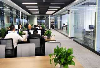 雁塔区做网络营销